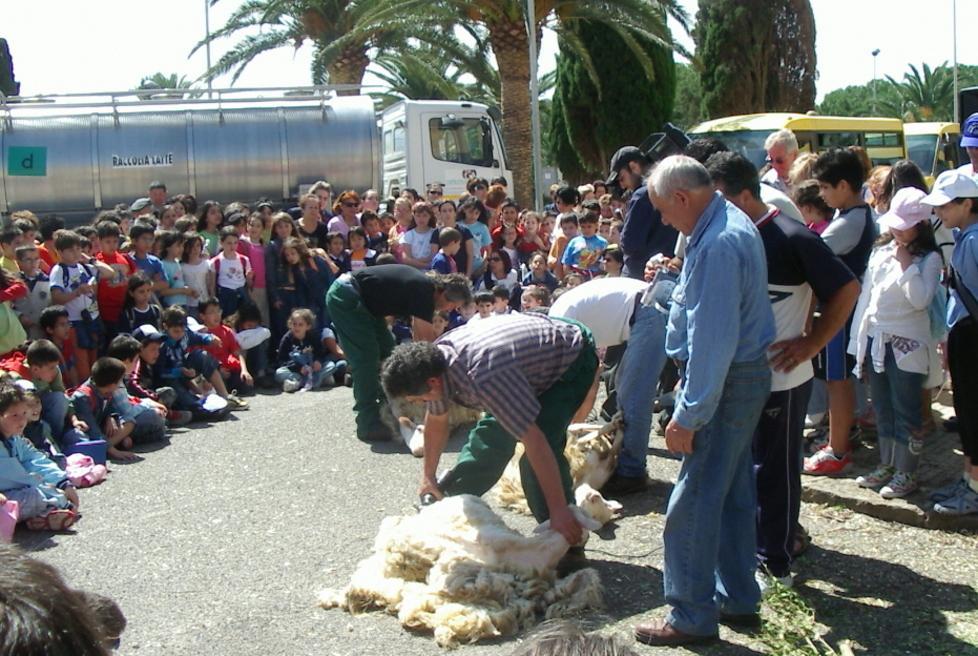 Festa della Tosatura con gli studenti della borgata