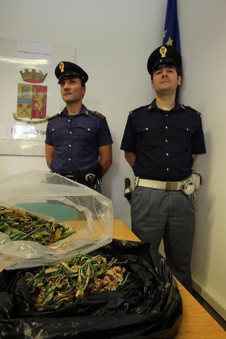 Fabbrica di marijuana scoperta in un casolare 