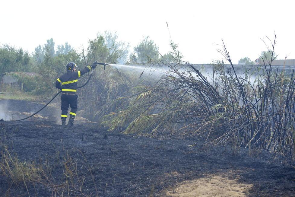 Ancora fiamme a Roselle. Gli abitanti: «Abbiamo paura che sia opera di un piromane» 