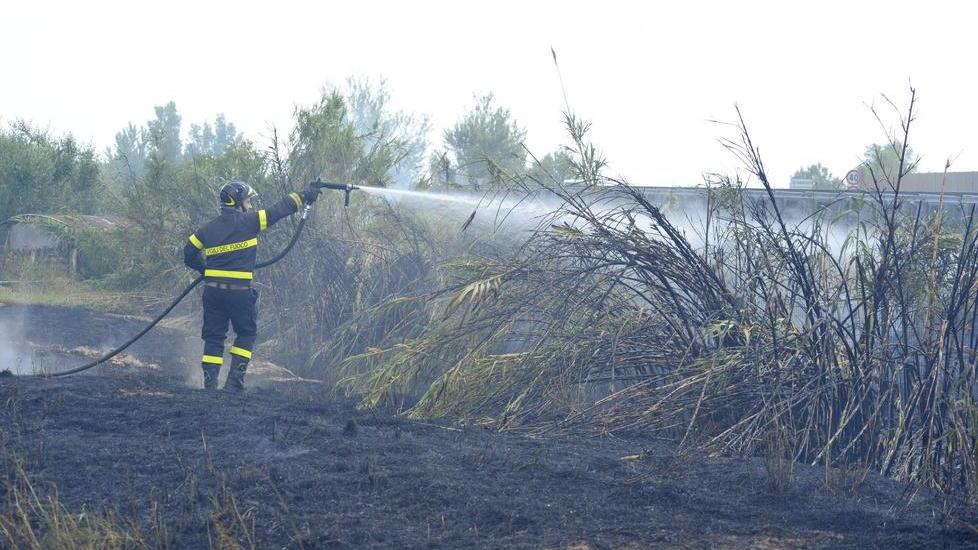 Ancora fiamme a Roselle. Gli abitanti: «Abbiamo paura che sia opera di un piromane»