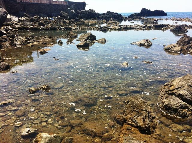 Bolle di schiuma sospette in mare 