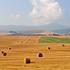 La Toscana che amo: invia le tue foto 
