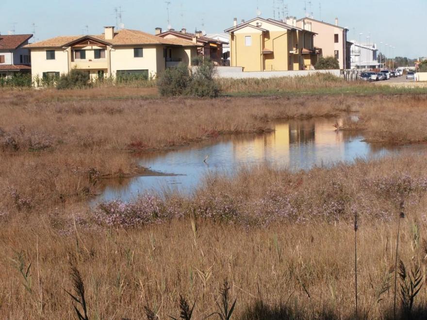 Aggredito nella notte a Comacchio Un uomo finisce in ospedale 