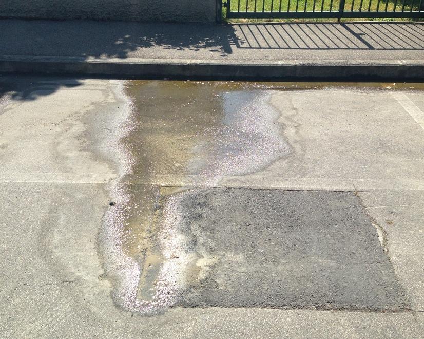 Da un mese sgorga acqua dall’asfalto in via Lapo Gianni 