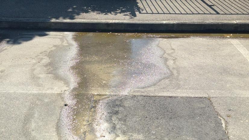 Da un mese sgorga acqua dall’asfalto in via Lapo Gianni