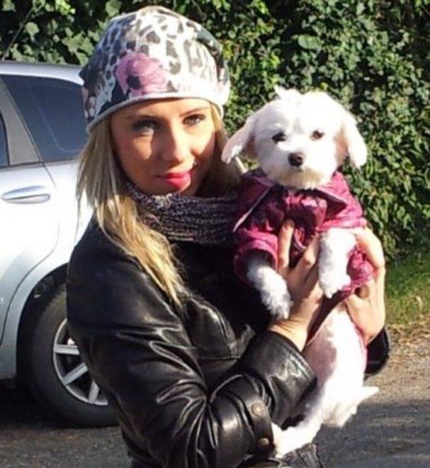 Pitbull uccide la cagnolina e ferisce la padrona 