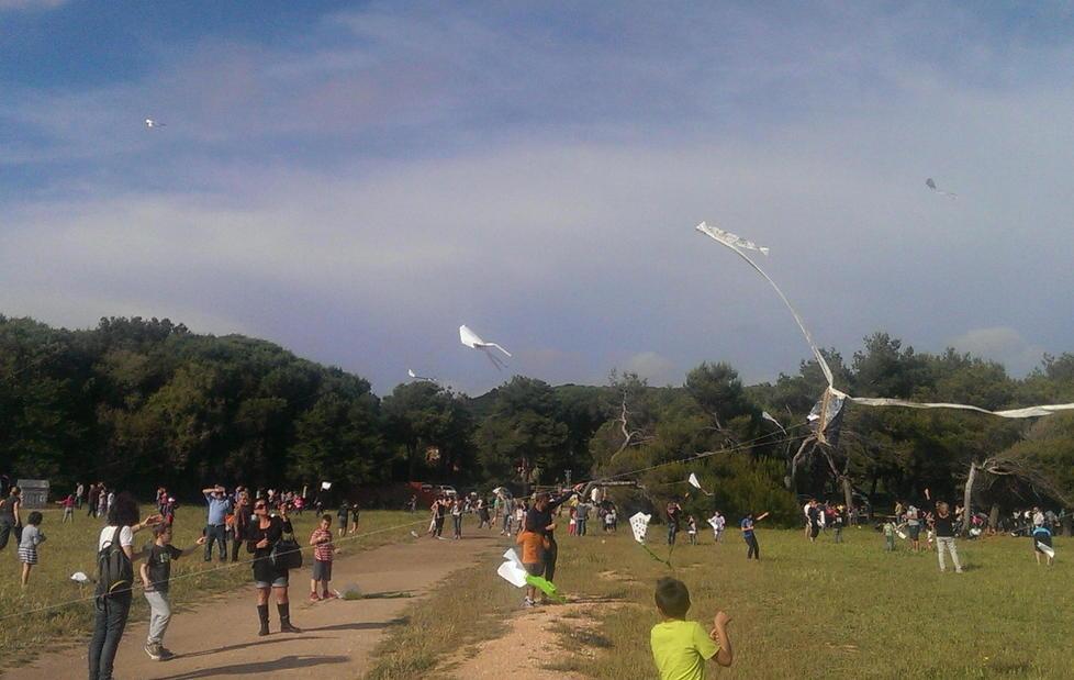Contro la violenza centinaia di aquiloni nel cielo di Baratti 
