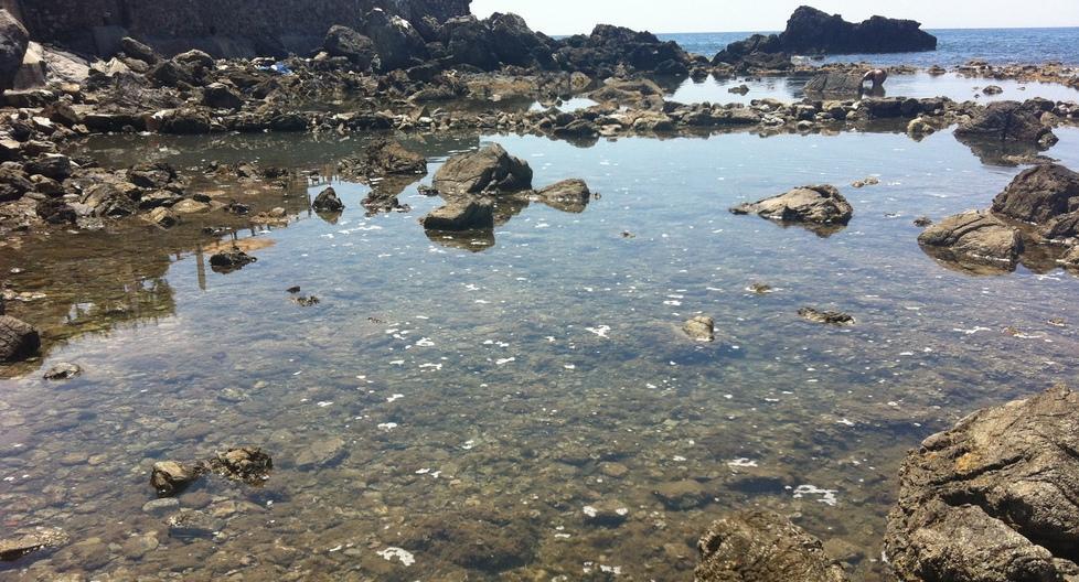 Bolle di schiuma sospette in mare 