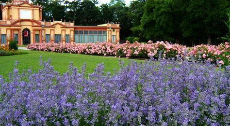Cooperazione internazionale: incontro ai Giardini Ducali 