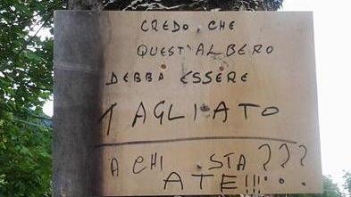 Grazie a un cartello anonimo quell’albero non è più un pericolo