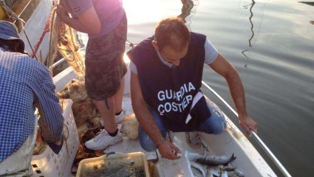 Pesca abusiva, la Capitaneria sequestra 500 metri di rete