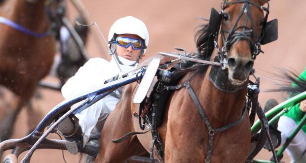 Pascià Lest, il cavallo da un milione di euro 