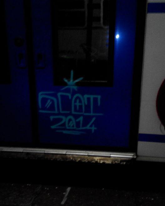Graffitaro sorpreso a imbrattare un treno
