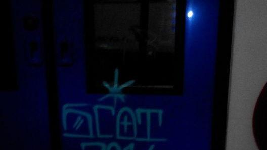 Graffitaro sorpreso a imbrattare un treno