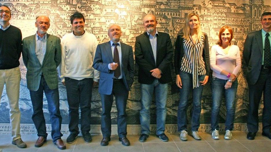 «Cari politici, quanti strafalcioni»