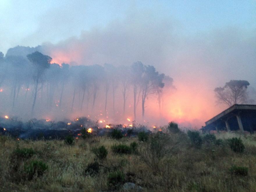 Bosco in fiamme per tutta la notte, mobilitata la protezione civile 