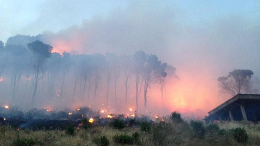 Bosco in fiamme per tutta la notte, mobilitata la protezione civile