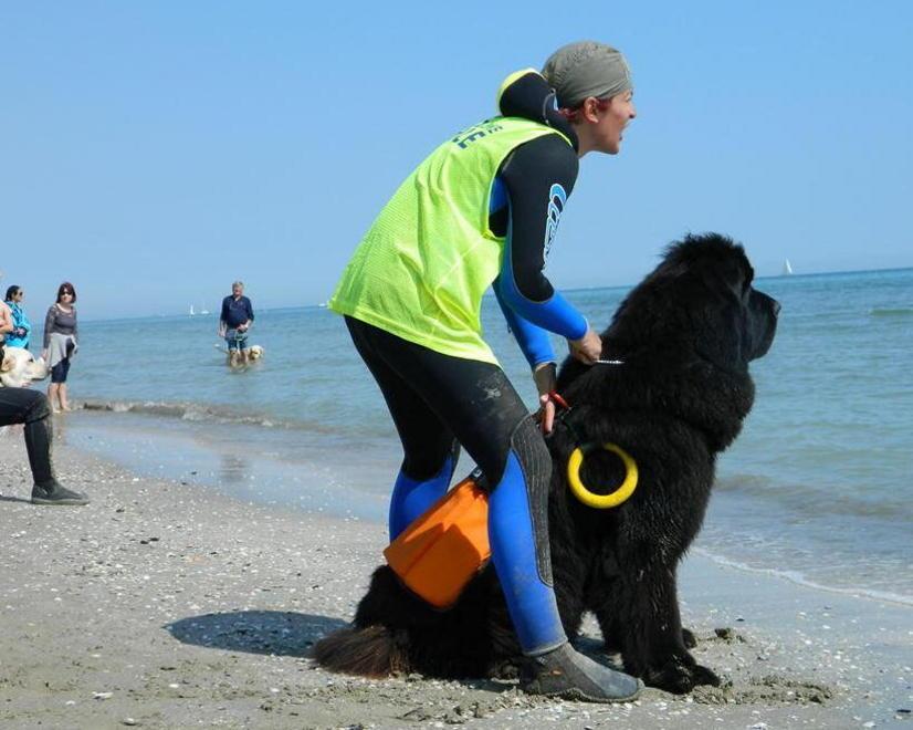 I cani-bagnino hanno superato gli esami ed entrano in servizio 