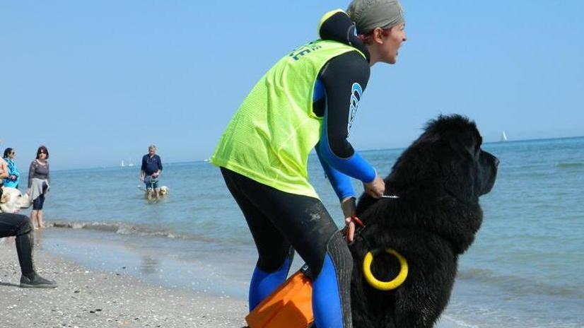 I cani-bagnino hanno superato gli esami ed entrano in servizio