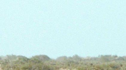 Montecatini in aiuto di Dakar