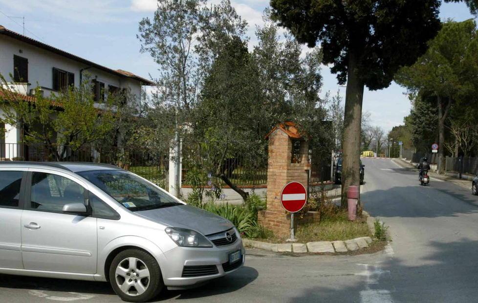 Raccolta di firme per salvare un cipresso 