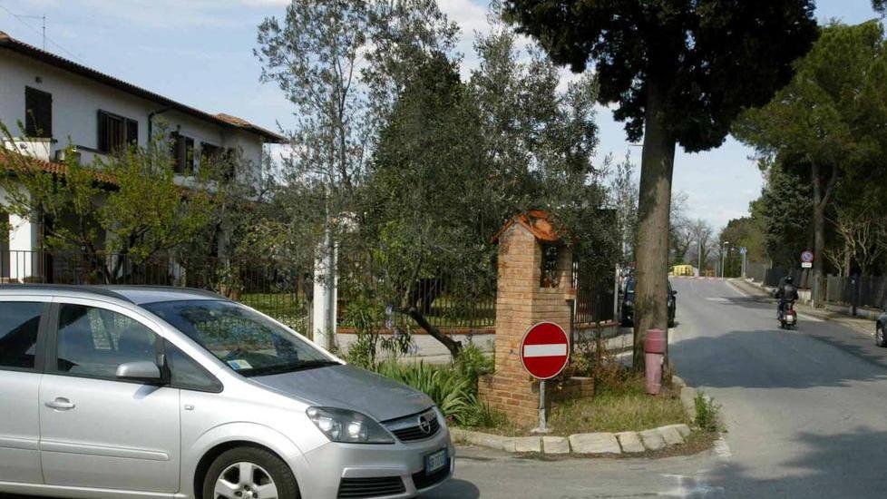 Raccolta di firme per salvare un cipresso