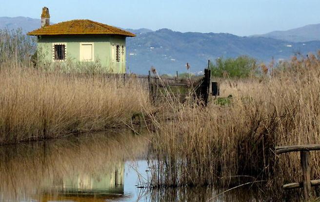 Un workshop di disegno naturalistico coi panorami del Padule di Fucecchio