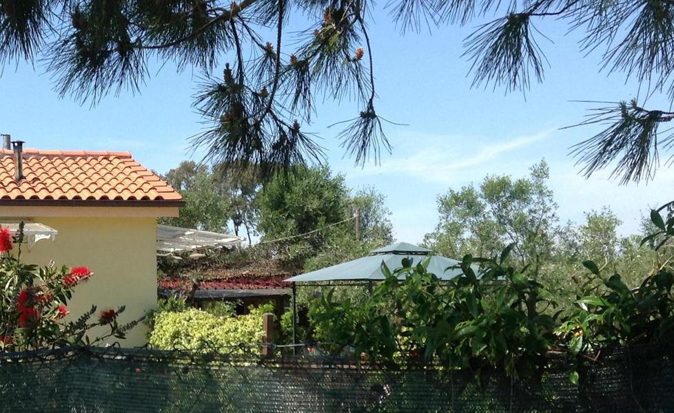 Tangenti, nuovi interrogatori in Procura 