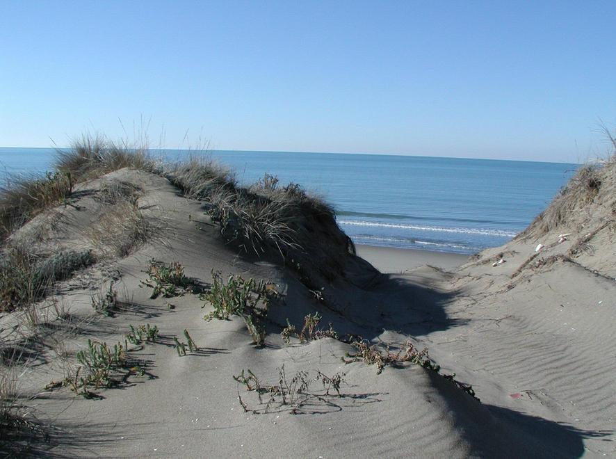 Fanno sesso tra le dune ma l’amante lo rapina
