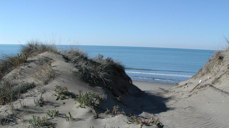 Fanno sesso tra le dune ma l’amante lo rapina