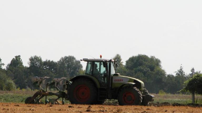 I giovani tornano ai campi L’ostacolo? La burocrazia