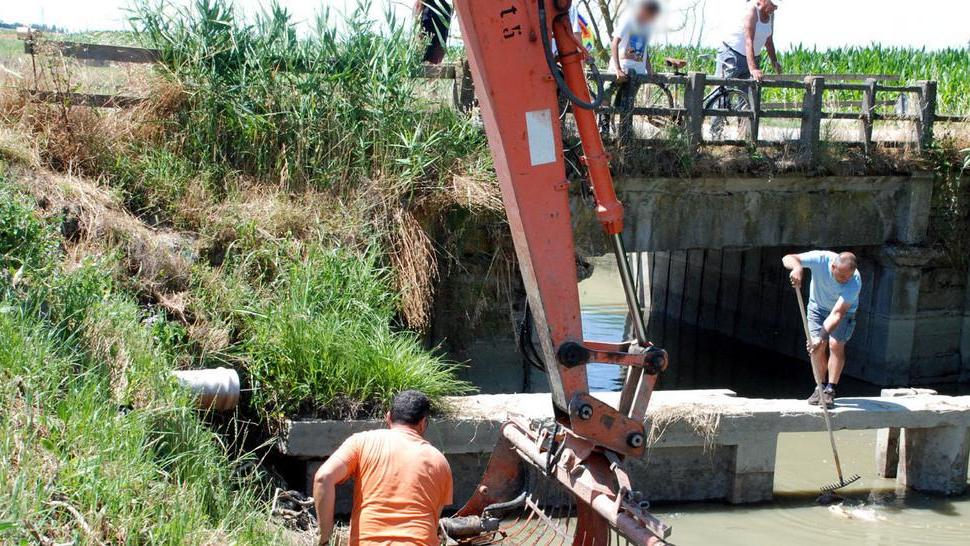 Pesci morti in via Lodigiana per l’abbassamento dell’acqua