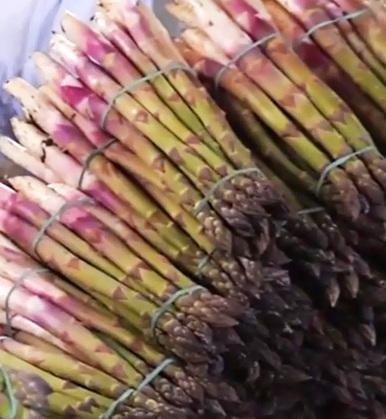 Asparagi, pochi ma buoni: la pioggia frena la produzione 