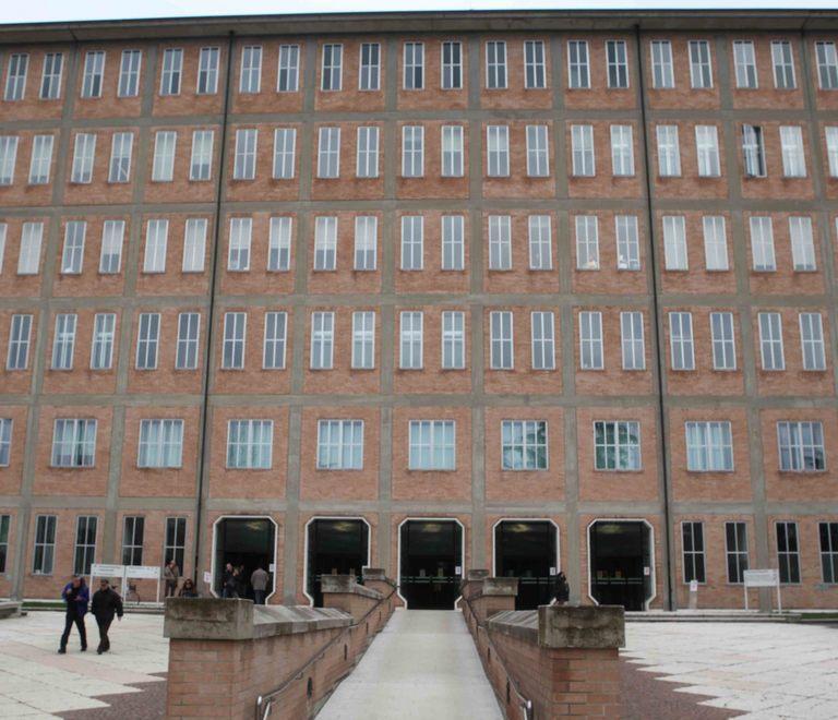 Incornata da una mucca, perde l’occhio 