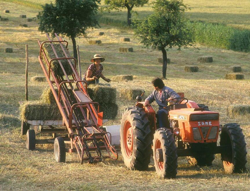 Sbloccati 81,5 milioni a favore degli agricoltori 