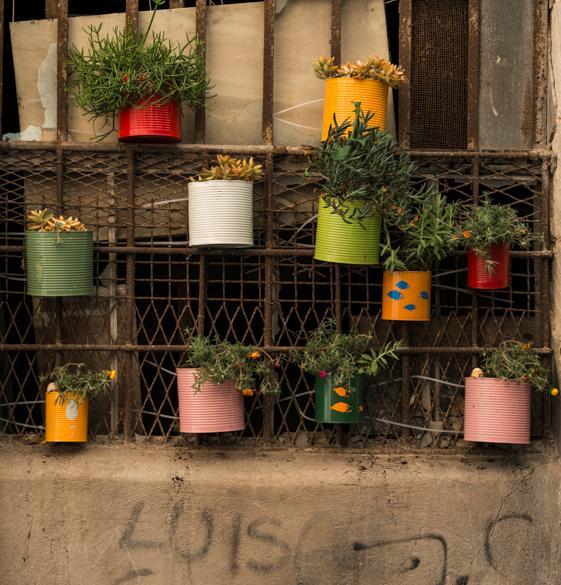 Il “giardino” di Insortu è nato nel centro storico