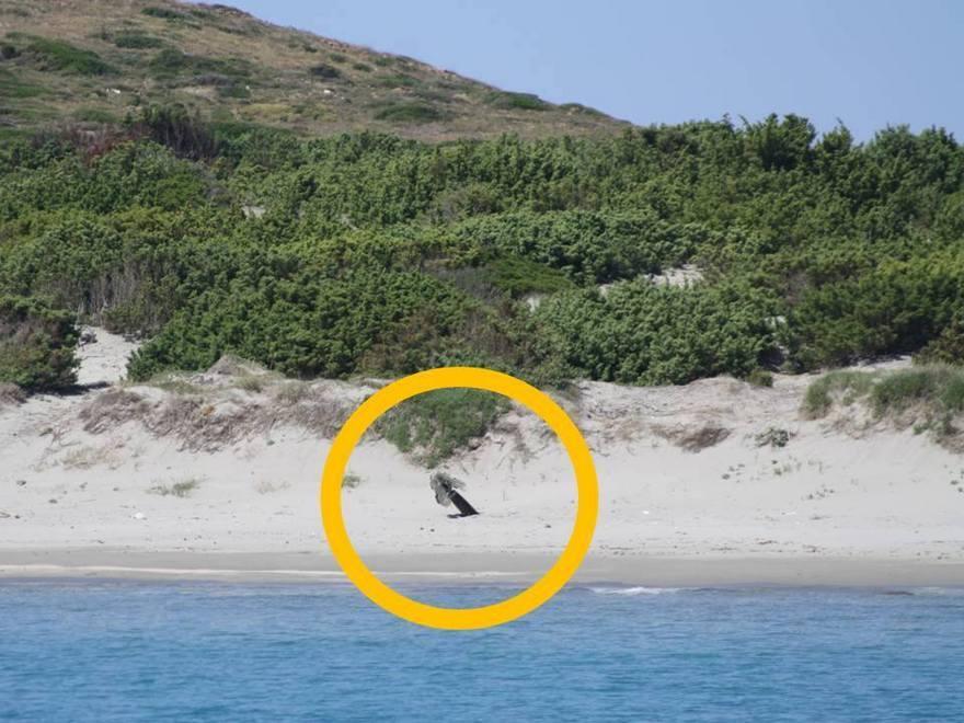 Servitù militari, Pili: «A Teulada disastro ambientale: un isolotto distrutto a colpi di missile» 