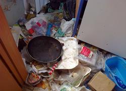 Tre cani liberati da una casa popolare in Corea 