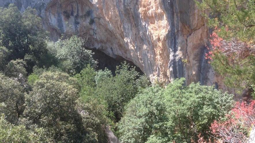 Oliena e la tutela delle piante rare