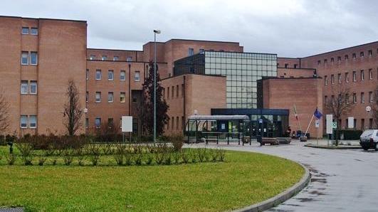 Delta, le domande del Comitato sui medici pediatri