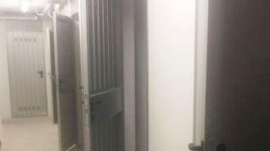 Ladri in azione nella notte