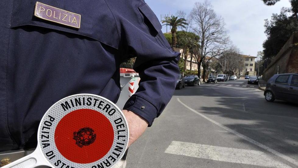 «Sono stata aggredita in pineta», scatta la denuncia per violenza sessuale