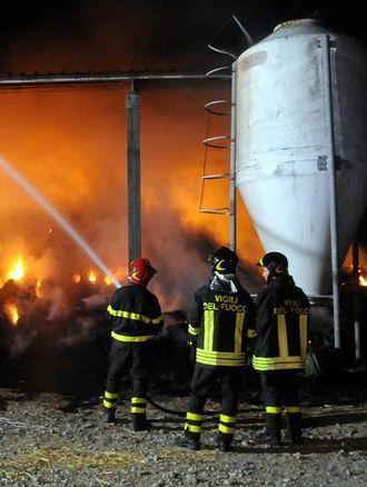 Rogo distrugge un capannone 