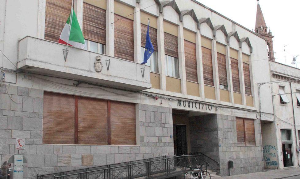 Ecco la guardia veterinaria notturna