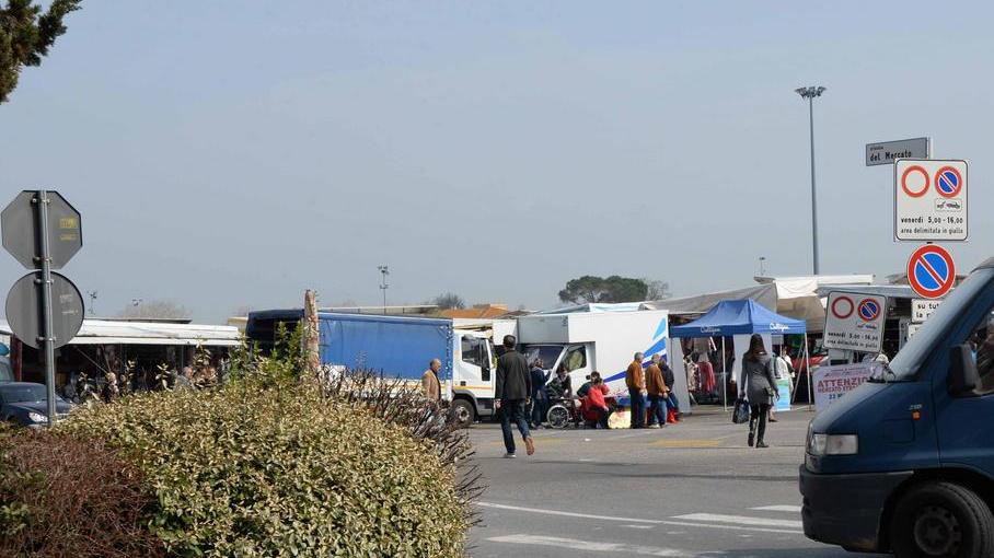 Sequestrati cuccioli di Yorkshire al mercato