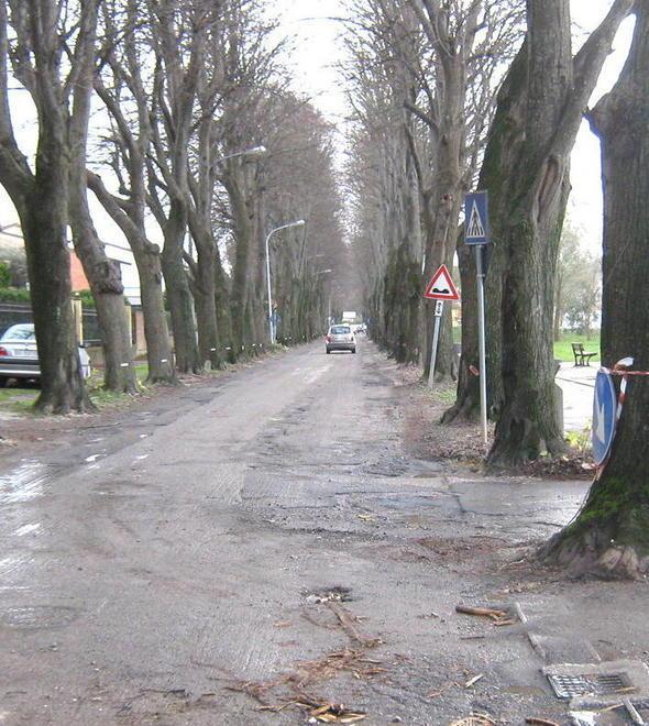 Viale Diaz chiuso al traffico