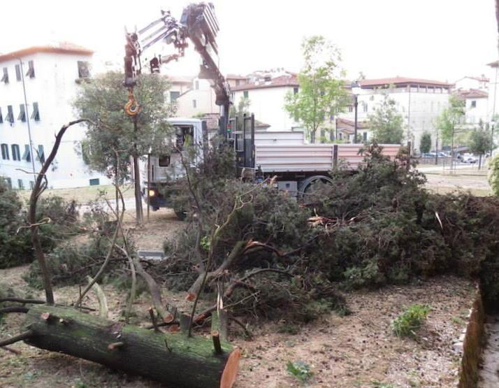 Orto Botanico, continua la raccolta di fondi 