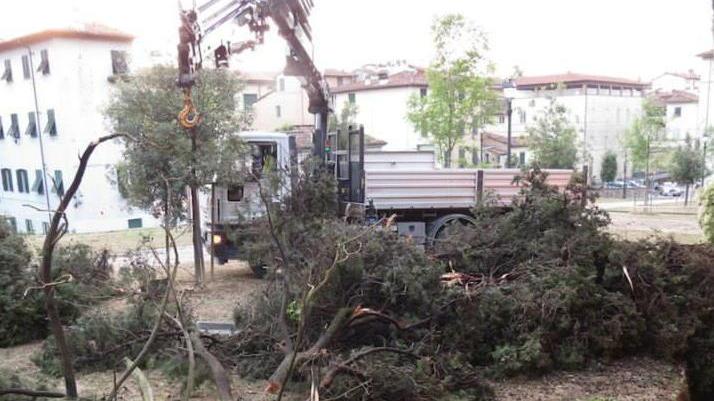 Orto Botanico, continua la raccolta di fondi