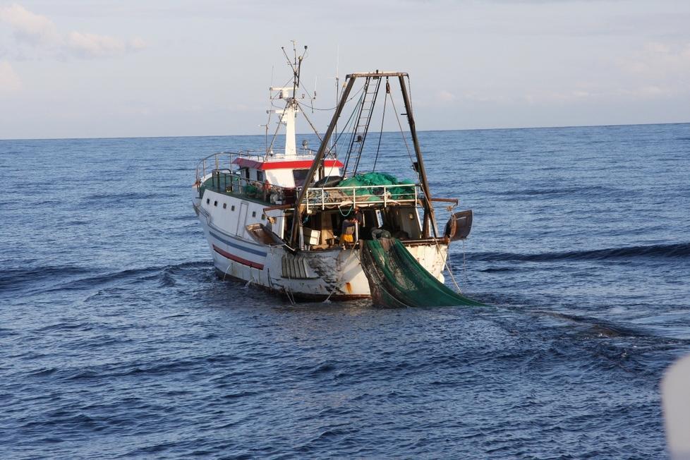 Pesca illegale, sequestri e sanzioni nel Cagliaritano 