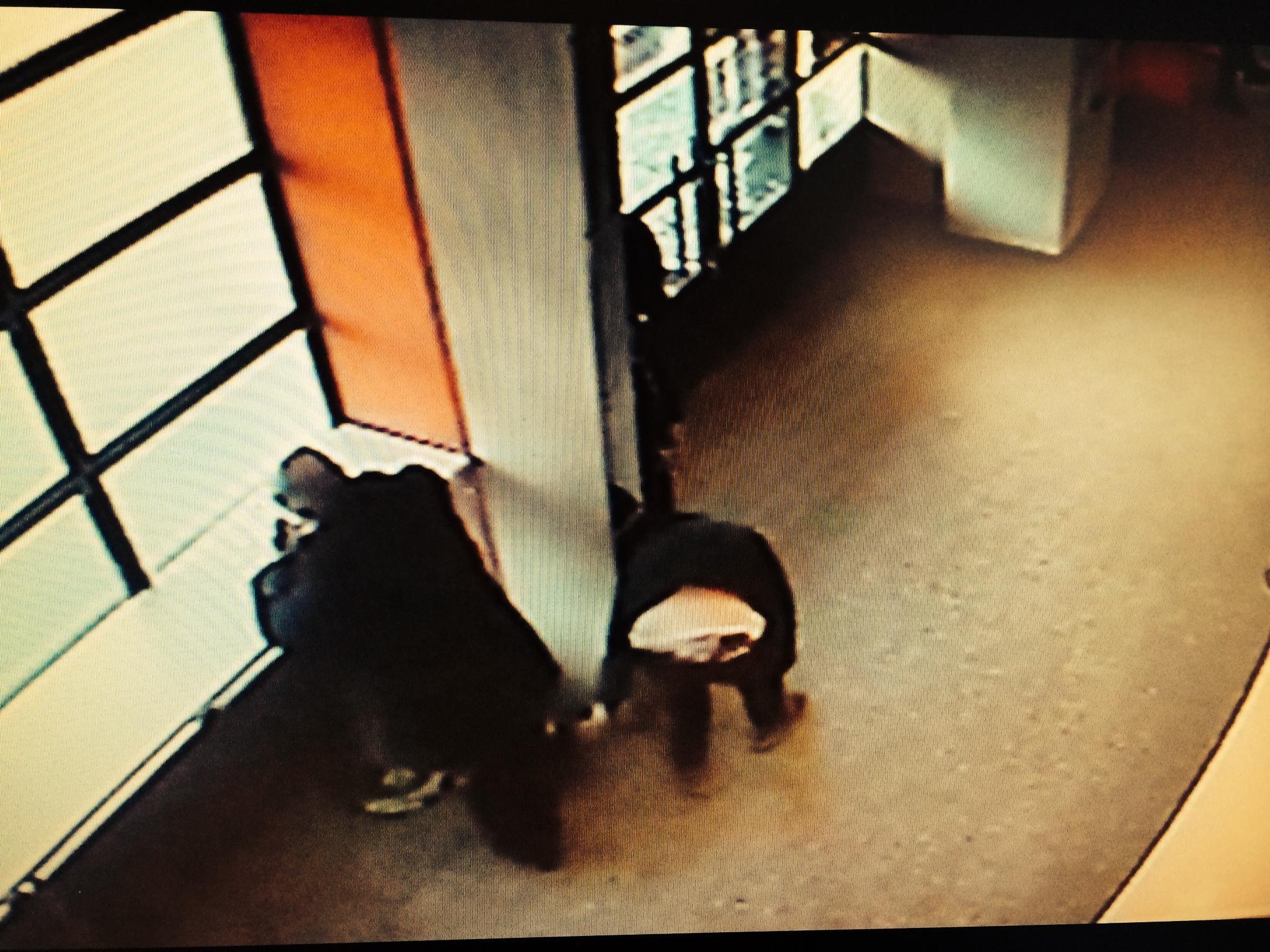 Stazione, allarme criminalità. I gestori del bar: «Situazione insostenibile. Pronti a lasciare»